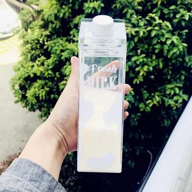 Cartoon Animals Patterned Water Bottles