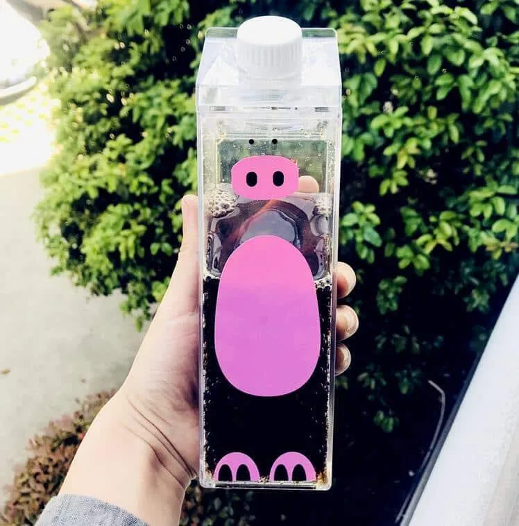 Cartoon Animals Patterned Water Bottles