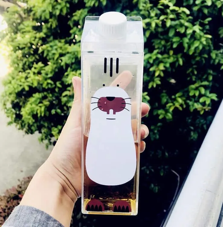 Cartoon Animals Patterned Water Bottles